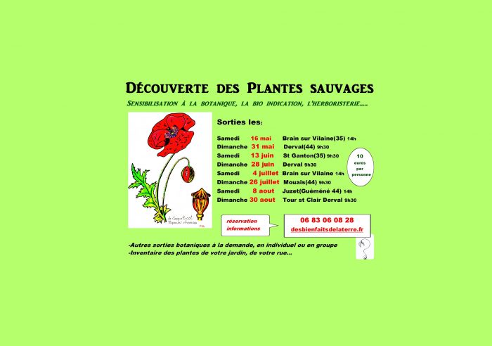 bota affiche annonce